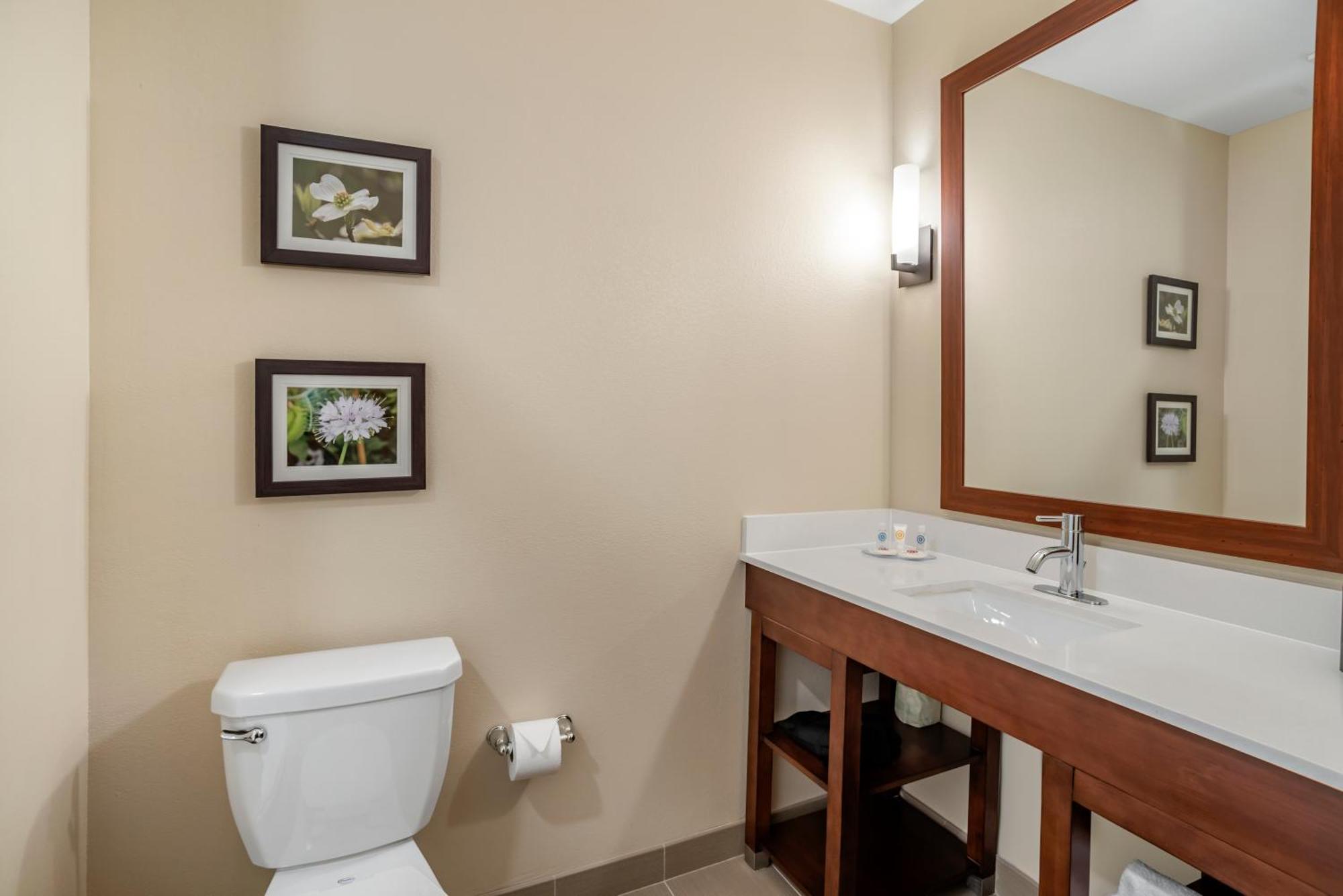 Comfort Inn & Suites Winchester Oda fotoğraf