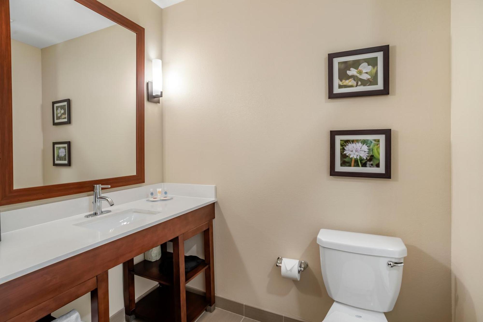 Comfort Inn & Suites Winchester Oda fotoğraf